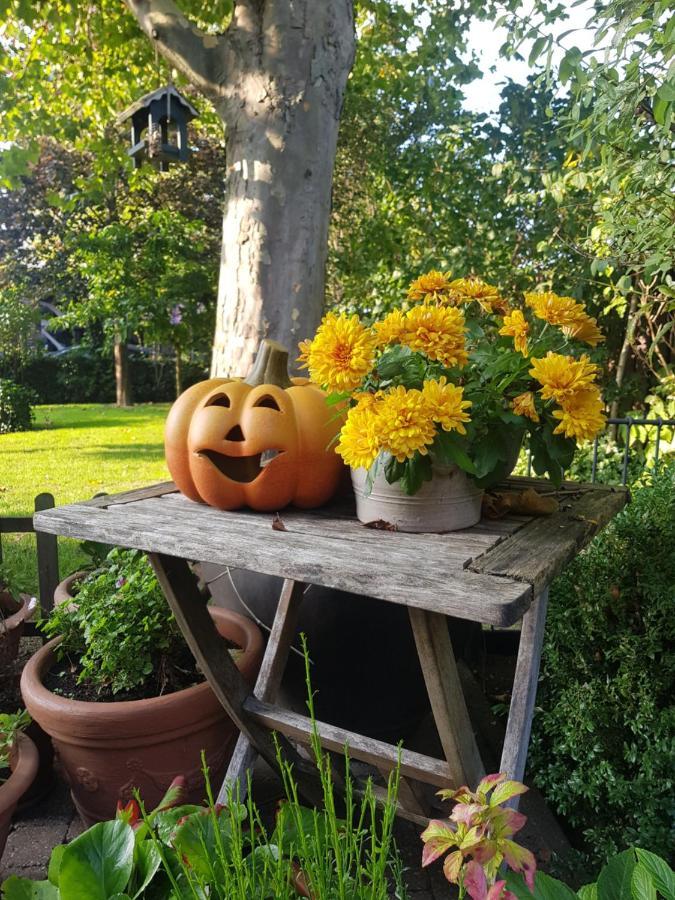 B&B Le Jardin NeerNeerpelt Zewnętrze zdjęcie