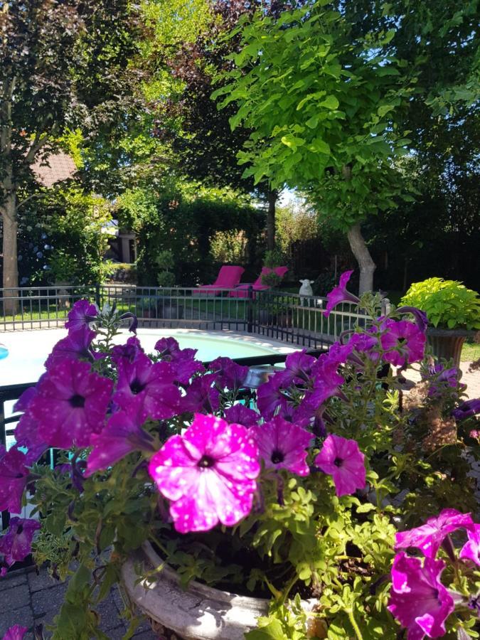 B&B Le Jardin NeerNeerpelt Zewnętrze zdjęcie