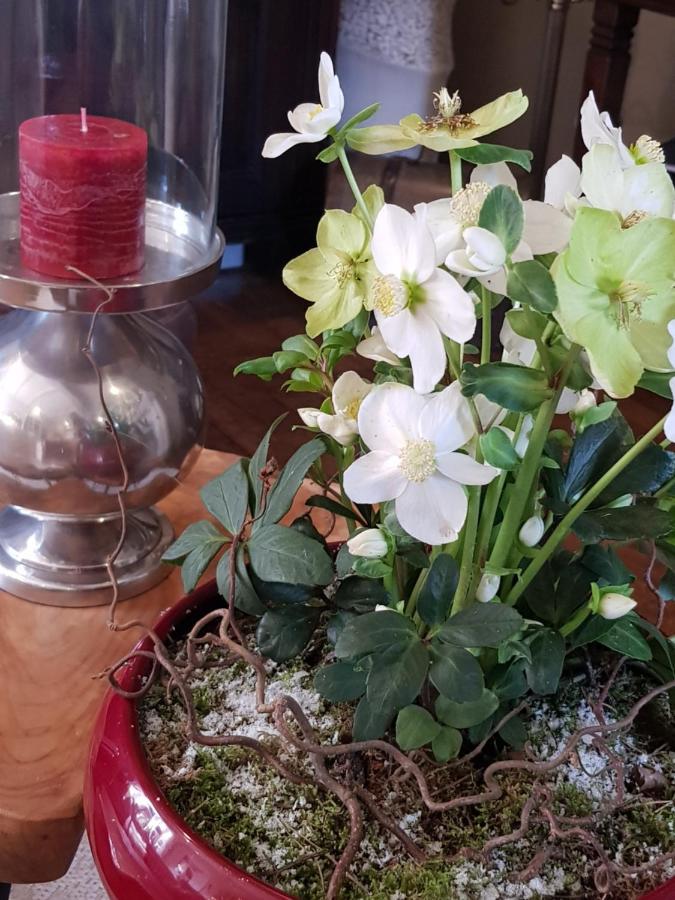 B&B Le Jardin NeerNeerpelt Zewnętrze zdjęcie